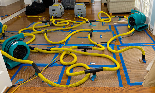 Professional Water Damage Restoration technician working in Brookdale, CA